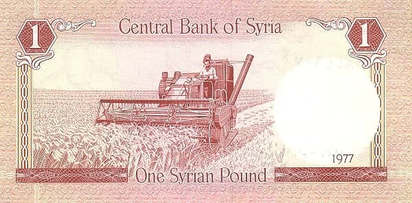 1 Pound